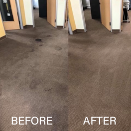 Des Moines Carpet Cleaning Services